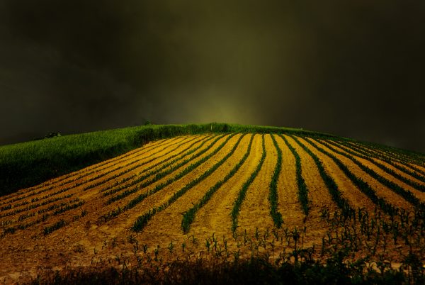 Lever du jour